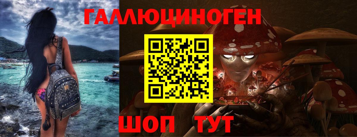 Чайковский  Галлюциногенные грибы Psilocybe  Вход с VPN 