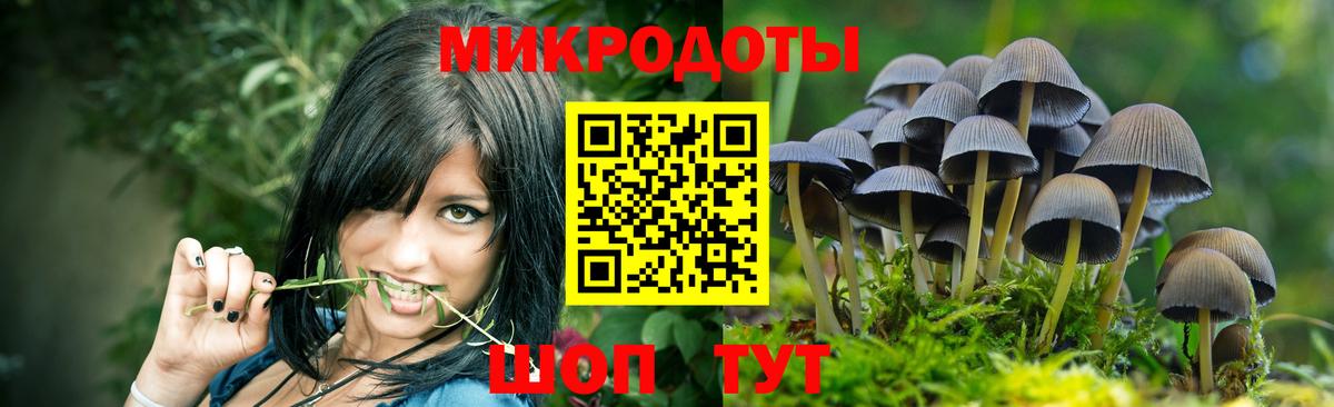 Псилоцибиновые грибы прущие грибы Чайковский